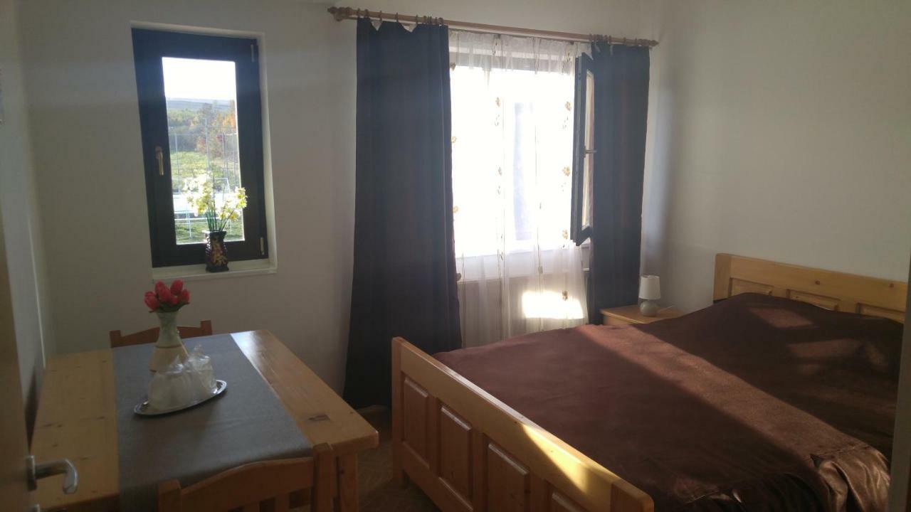 Oteleni Pensiunea Casa Vanatorului酒店 外观 照片