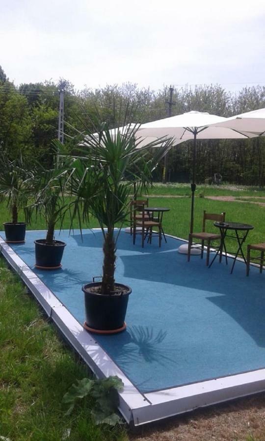 Oteleni Pensiunea Casa Vanatorului酒店 外观 照片